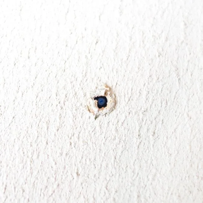 Detetive Particular Igarassu