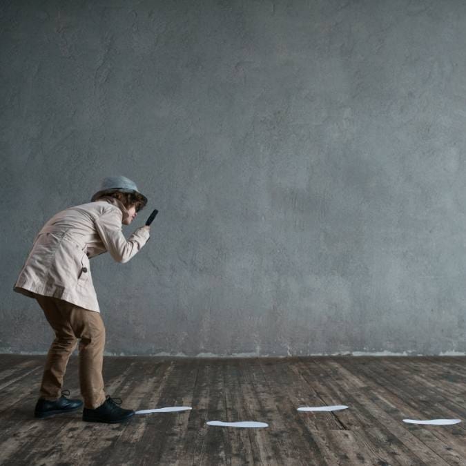 Detetive Particular Ipubi