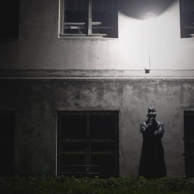 Detetive Particular Lambari D´oeste