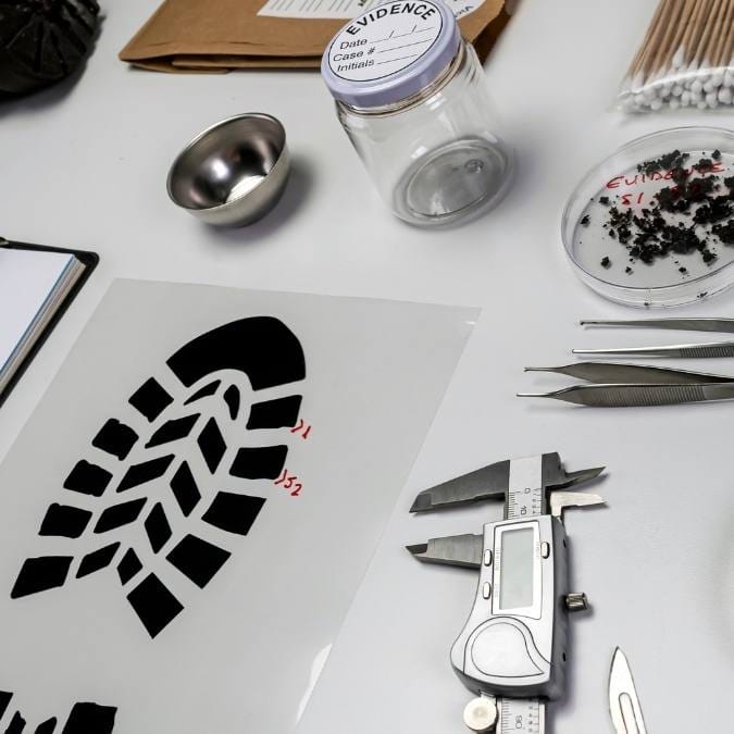 Detetive Particular Limoeiro do Ajuru