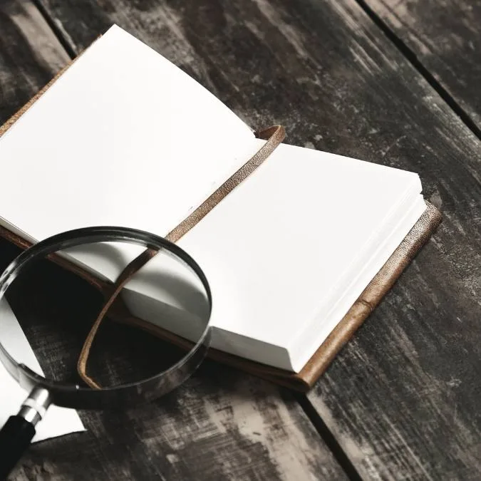 Detetive Particular Mogi Guaçu