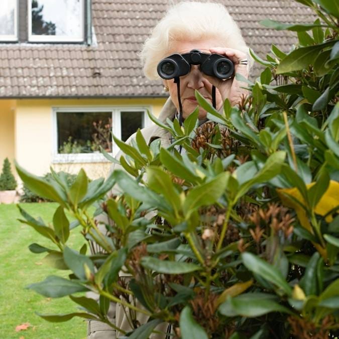 Detetive Particular Presidente Kennedy