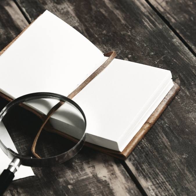 Detetive Particular Timbaúba