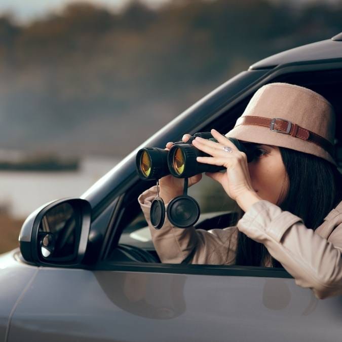 Detetive Particular Trizidela do Vale