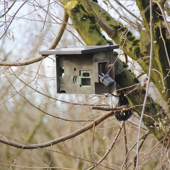 Detetive Particular em Araponga